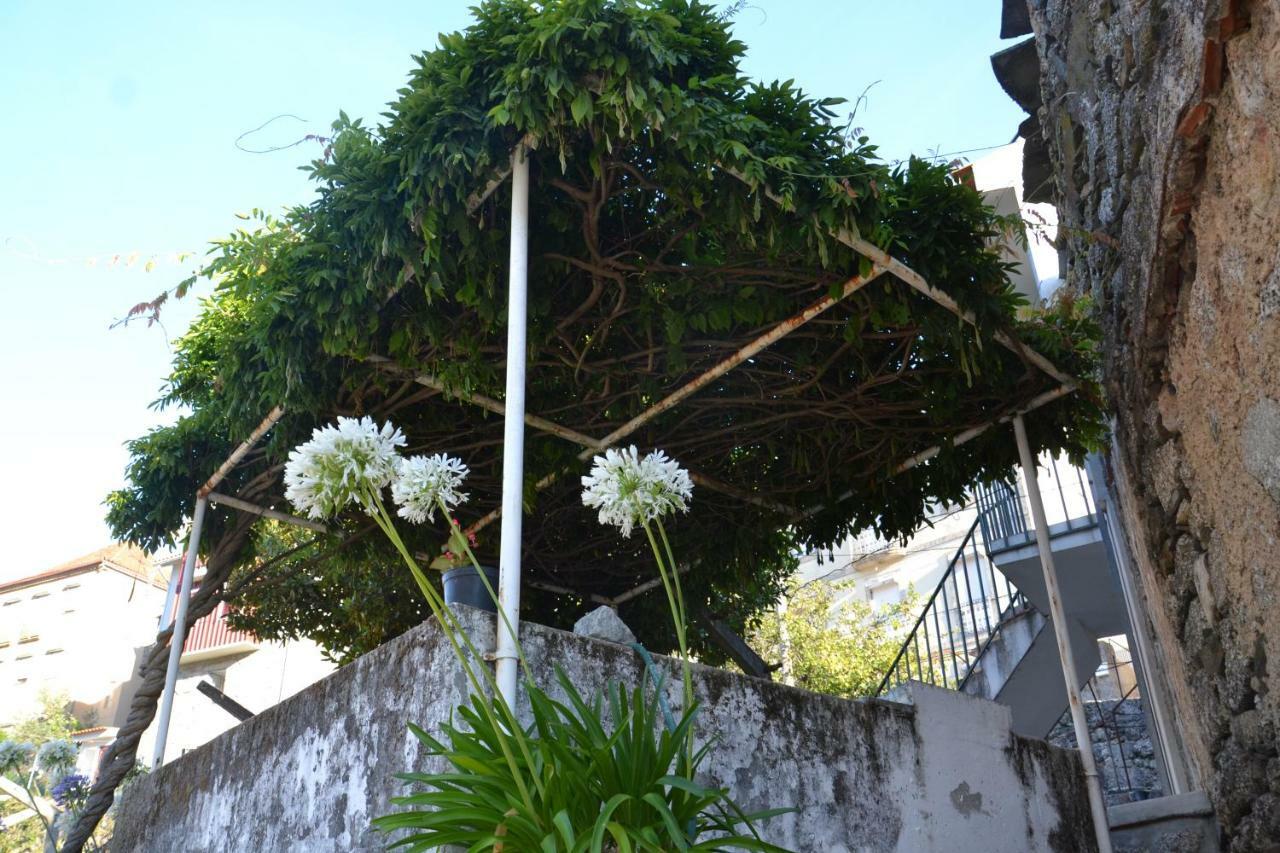 Casa Da Ponte Do Arrocho Villa Loriga Eksteriør billede